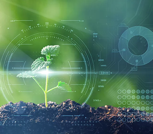 Surveillance environnementale